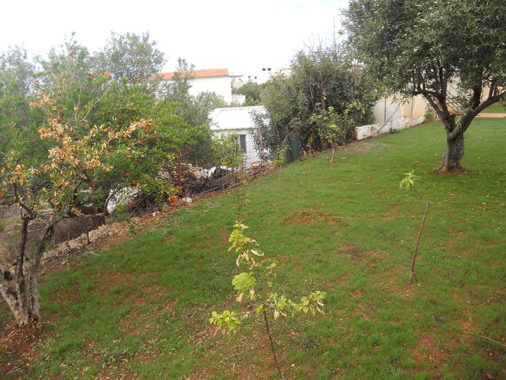 Aspri Petra Apartments Analipsi  Exterior photo